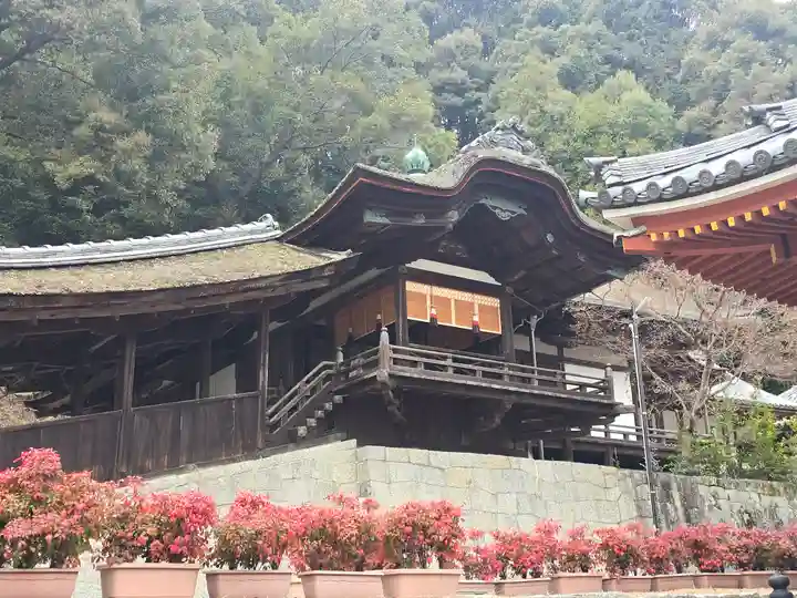金剛寺(大阪府)