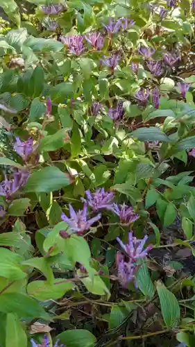 長岡天満宮(京都府)