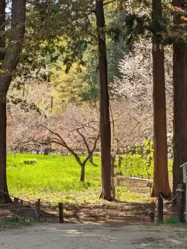 北海道神宮の庭園