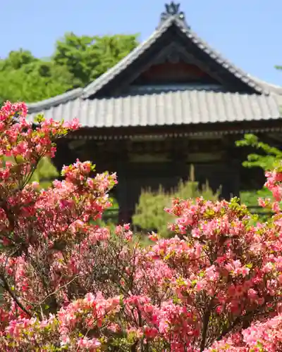 福増寺(群馬県)
