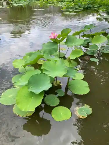 旗上弁財天社の庭園