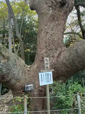 矢倉神社(静岡県)