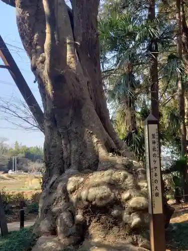 鷲神社(先崎鷲神社)の自然