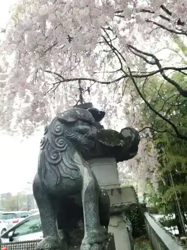 櫻山神社の狛犬