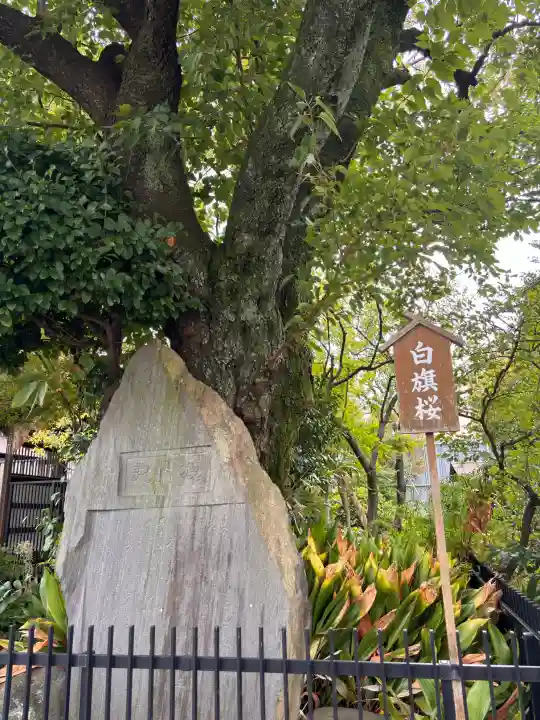 白山神社の{uncategorized: "未分類", other: "その他", undefined: "問題あり", building: "その他建物", grave: "お墓", sacred_gate: "鳥居", guardian: "狛犬", statue: "像", buddha: "仏像", history: "歴史", nature: "自然", garden: "庭園", animal: "動物", pagoda: "塔", temizu: "手水舎", mountain_gate: "山門・神門", sanctuary: "本殿・本堂", subordinate: "末社・摂社", art: "芸術", scenery: "景色", jizo: "地蔵", ema: "絵馬", goshuin: "御朱印", omikuji: "おみくじ", items: "授与品その他", amulet: "お守り", goshuincho: "御朱印帳", eats: "食事", festival: "お祭り", votive_dance: "神楽", shichigosan: "七五三参", wedding: "結婚式", experience: "体験その他", initially: "初詣", around: "周辺", anti_infection: "感染症対策"}