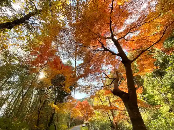 乾徳寺(滋賀県)