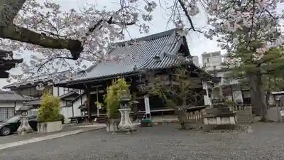 廬山寺（廬山天台講寺）(京都府)