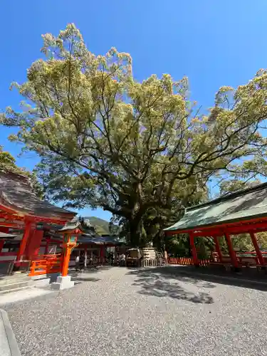 熊野那智大社(和歌山県)