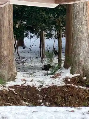 御形神社(兵庫県)
