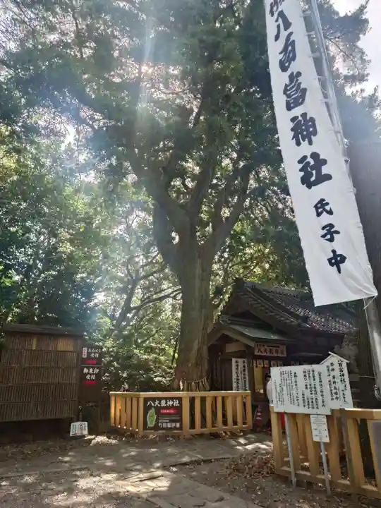 八百富神社(愛知県)
