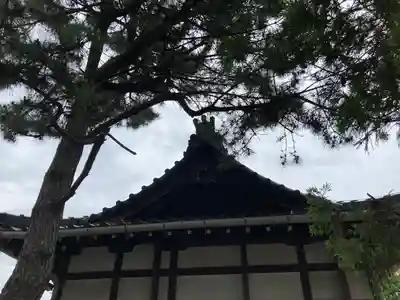 宝蔵寺の本殿・本堂