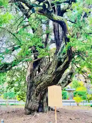 建長寺(神奈川県)