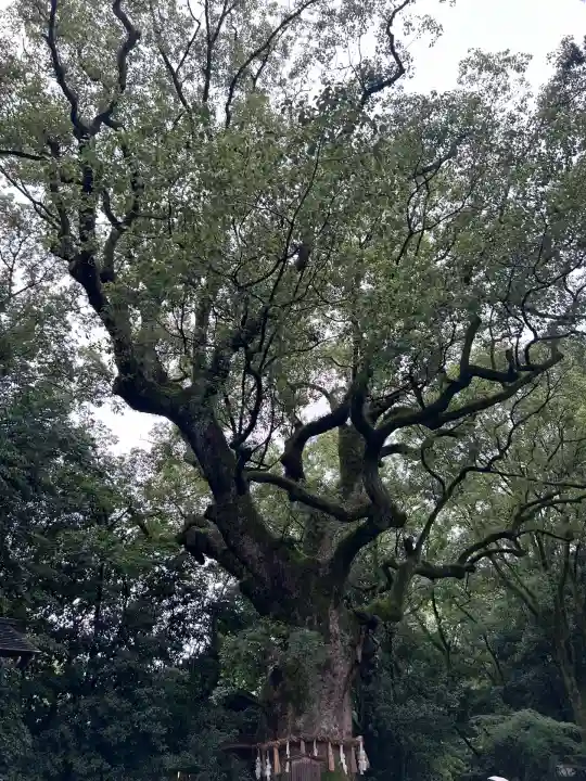 熱田神宮(愛知県)