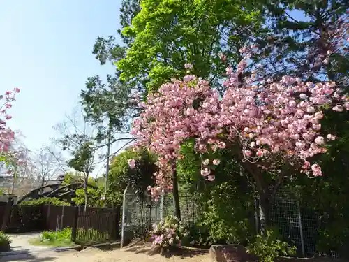 誉田八幡宮の庭園