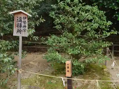 賀茂別雷神社（上賀茂神社）(京都府)