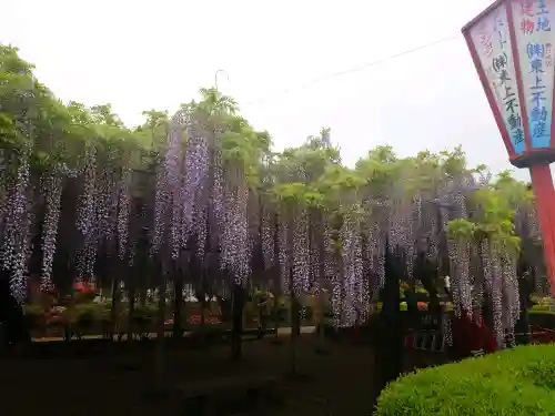箭弓稲荷神社の{uncategorized: "未分類", other: "その他", undefined: "問題あり", building: "その他建物", grave: "お墓", sacred_gate: "鳥居", guardian: "狛犬", statue: "像", buddha: "仏像", history: "歴史", nature: "自然", garden: "庭園", animal: "動物", pagoda: "塔", temizu: "手水舎", mountain_gate: "山門・神門", sanctuary: "本殿・本堂", subordinate: "末社・摂社", art: "芸術", scenery: "景色", jizo: "地蔵", ema: "絵馬", goshuin: "御朱印", omikuji: "おみくじ", items: "授与品その他", amulet: "お守り", goshuincho: "御朱印帳", eats: "食事", festival: "お祭り", votive_dance: "神楽", shichigosan: "七五三参", wedding: "結婚式", experience: "体験その他", initially: "初詣", around: "周辺", anti_infection: "感染症対策"}