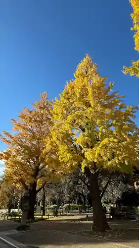 靖國神社(東京都)