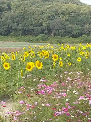 道通神社(岡山県)