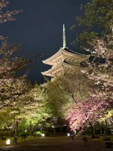 東寺（教王護国寺）の塔