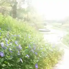 溝旗神社（肇國神社）の自然