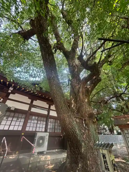 多奈波太神社の自然