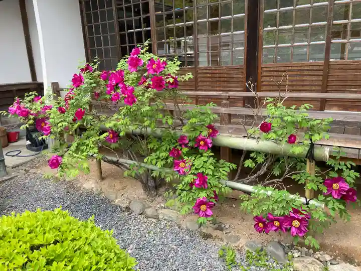 南院(和歌山県)