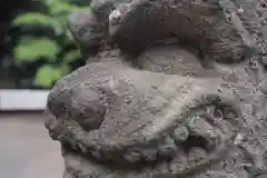 鎮守氷川神社の狛犬