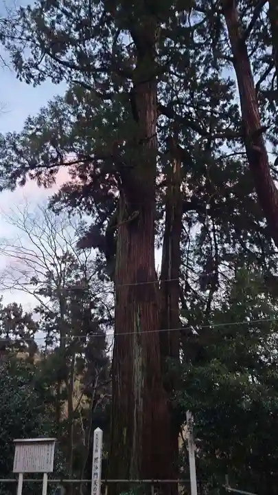 大岩山 最勝寺(栃木県)