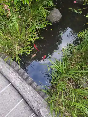 朝日弁財天(東京都)