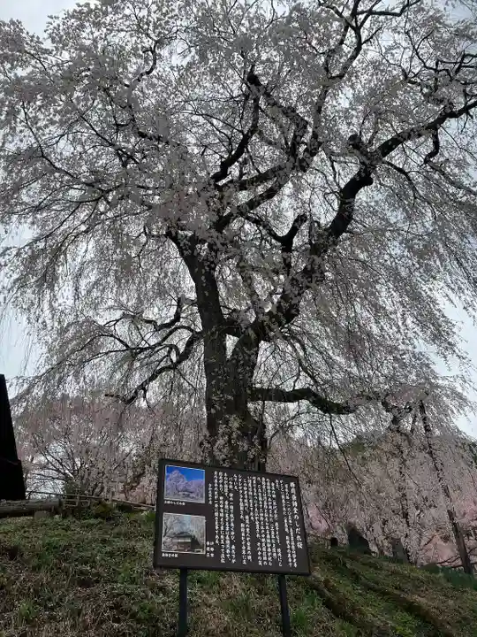 勝間薬師堂(長野県)