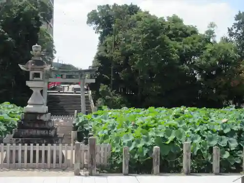 伊賀八幡宮(愛知県)