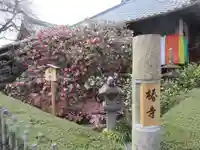 地蔵院(椿寺)のその他建物