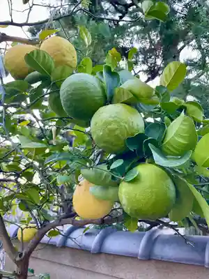 浄蓮寺(神奈川県)