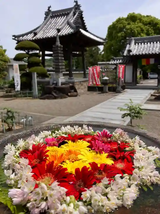 真言宗 善通寺派 薬王寺(香川県)