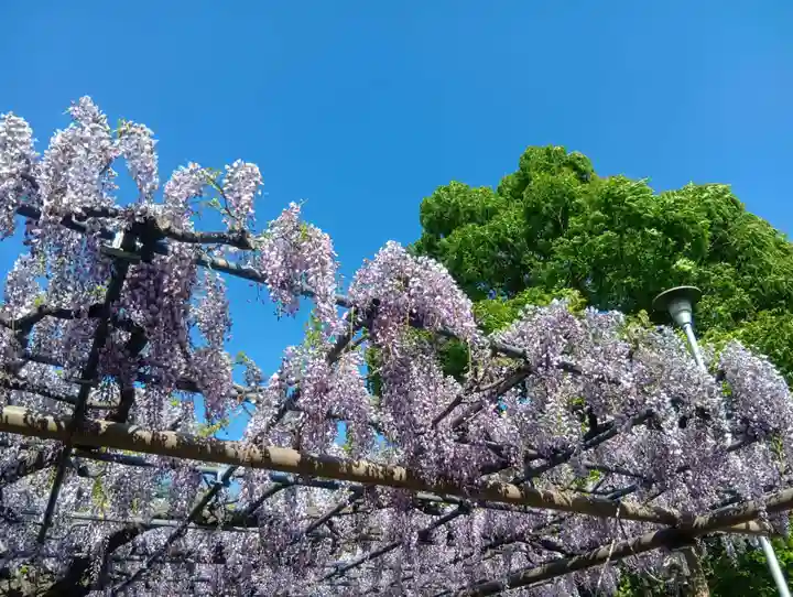 曼陀羅寺(愛知県)