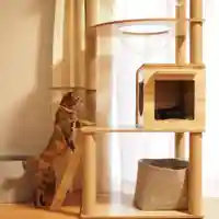 天王山 安楽寺(福井県)