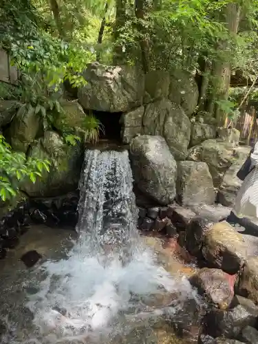 椿大神社の{uncategorized: "未分類", other: "その他", undefined: "問題あり", building: "その他建物", grave: "お墓", sacred_gate: "鳥居", guardian: "狛犬", statue: "像", buddha: "仏像", history: "歴史", nature: "自然", garden: "庭園", animal: "動物", pagoda: "塔", temizu: "手水舎", mountain_gate: "山門・神門", sanctuary: "本殿・本堂", subordinate: "末社・摂社", art: "芸術", scenery: "景色", jizo: "地蔵", ema: "絵馬", goshuin: "御朱印", omikuji: "おみくじ", items: "授与品その他", amulet: "お守り", goshuincho: "御朱印帳", eats: "食事", festival: "お祭り", votive_dance: "神楽", shichigosan: "七五三参", wedding: "結婚式", experience: "体験その他", initially: "初詣", around: "周辺", anti_infection: "感染症対策"}