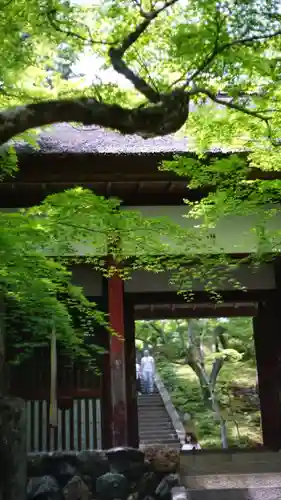 常寂光寺(京都府)