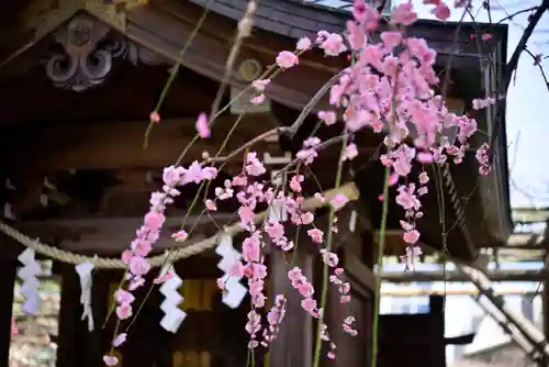 亀戸天神社(東京都)