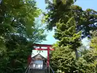 白山神社の{uncategorized: "未分類", other: "その他", undefined: "問題あり", building: "その他建物", grave: "お墓", sacred_gate: "鳥居", guardian: "狛犬", statue: "像", buddha: "仏像", history: "歴史", nature: "自然", garden: "庭園", animal: "動物", pagoda: "塔", temizu: "手水舎", mountain_gate: "山門・神門", sanctuary: "本殿・本堂", subordinate: "末社・摂社", art: "芸術", scenery: "景色", jizo: "地蔵", ema: "絵馬", goshuin: "御朱印", omikuji: "おみくじ", items: "授与品その他", amulet: "お守り", goshuincho: "御朱印帳", eats: "食事", festival: "お祭り", votive_dance: "神楽", shichigosan: "七五三参", wedding: "結婚式", experience: "体験その他", initially: "初詣", around: "周辺", anti_infection: "感染症対策"}