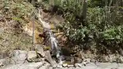 戸隠神社中社の庭園