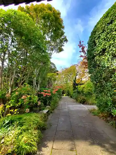 徳泉寺(宮城県)