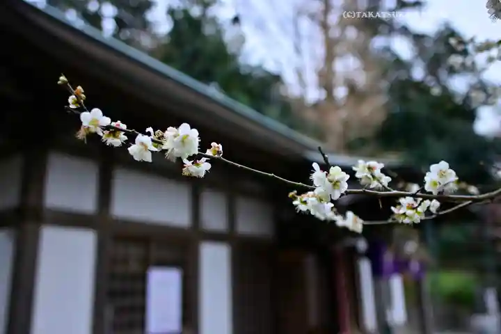 永谷天満宮(神奈川県)