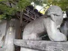 善養密寺の狛犬