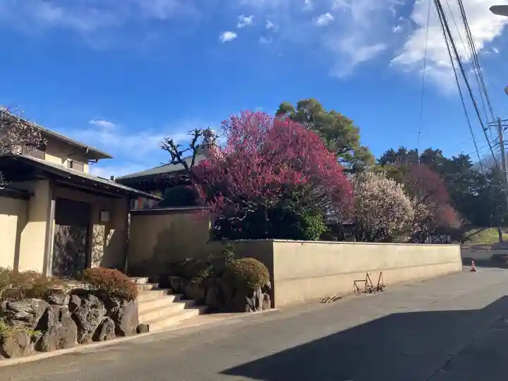 観音蜜寺(神奈川県)