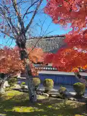 走田神社(京都府)