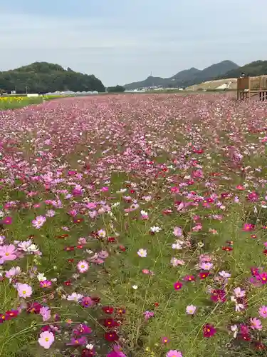 道通神社(岡山県)