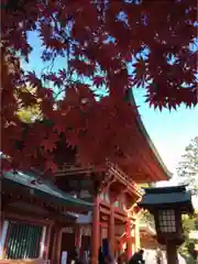 武蔵一宮氷川神社の山門