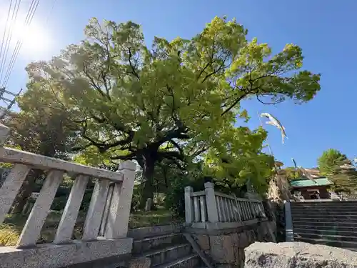 忌宮神社(山口県)