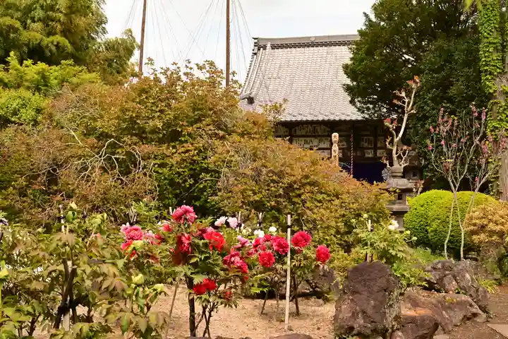 長泉院(埼玉県)